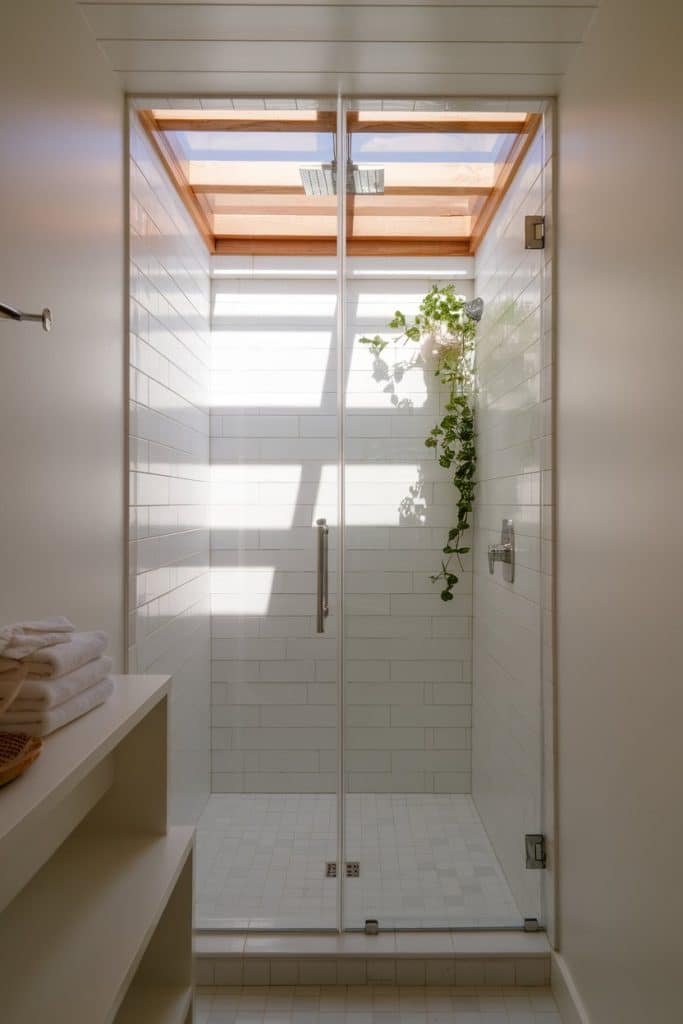 Small bathroom walk-in shower with an overhead skylight.